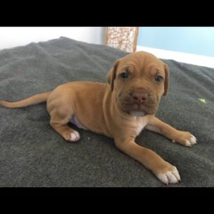 Meet your Posher, Everett